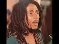 Bob Marley  HD &quot; Rat Race &quot;Babylon By Bus&quot; Live 76 &quot;Tour Rastaman Vibration&quot;