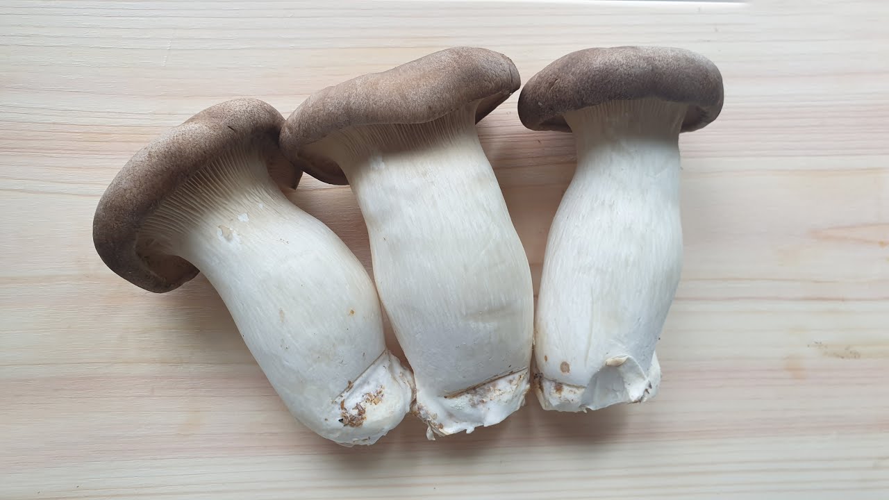 새송이버섯 어묵무침