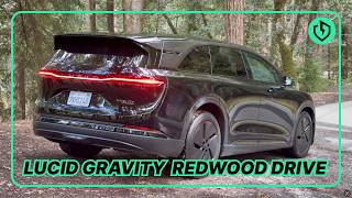 2027 Lucid Gravity x Tony Anderson | Relaxing Redwood Forest Drive