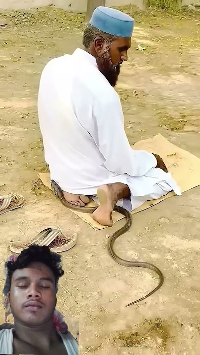 #duet #cobra #funny #quran #islamicstatus #love #urdulyrics #songlyrics #youtubeshorts #romanticmu