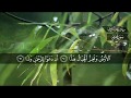 تلاوة عذبة للقارئ رعد بن محمد الكردي من سورة مريم 
