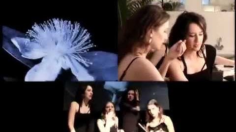 Meet ELECTRA: a mini documentary from the CD/DVD, ABLE TO BE