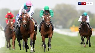 FRANKEL! 🐐 Complete domination in the 2011 Greenham Stakes | From the archives