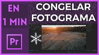 🎞 Congelar Fotograma de un Video en Adobe Premiere Tutorial | En 1 Minuto 🎞