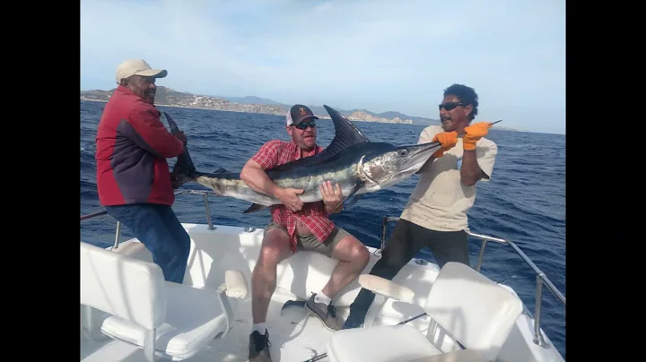 Cabo January 2020