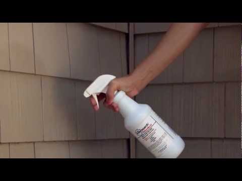 How to Use AllerMold™