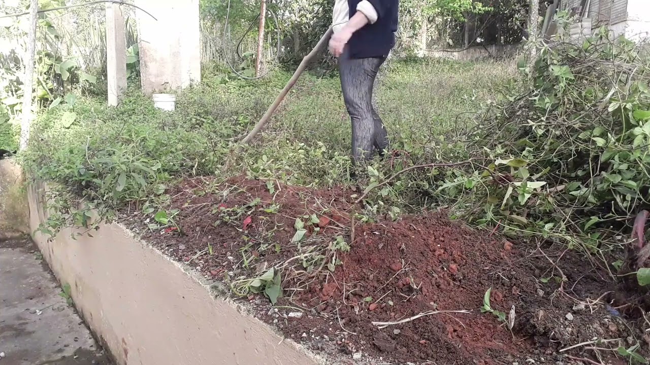 como destocar é carpi 