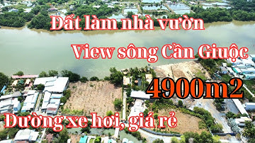 Đất view sông Cần Giuộc. Diện tích 4900m2 trong đó có 300m2 thổ cư, đường xe tải tới đất, giá rẻ SHR