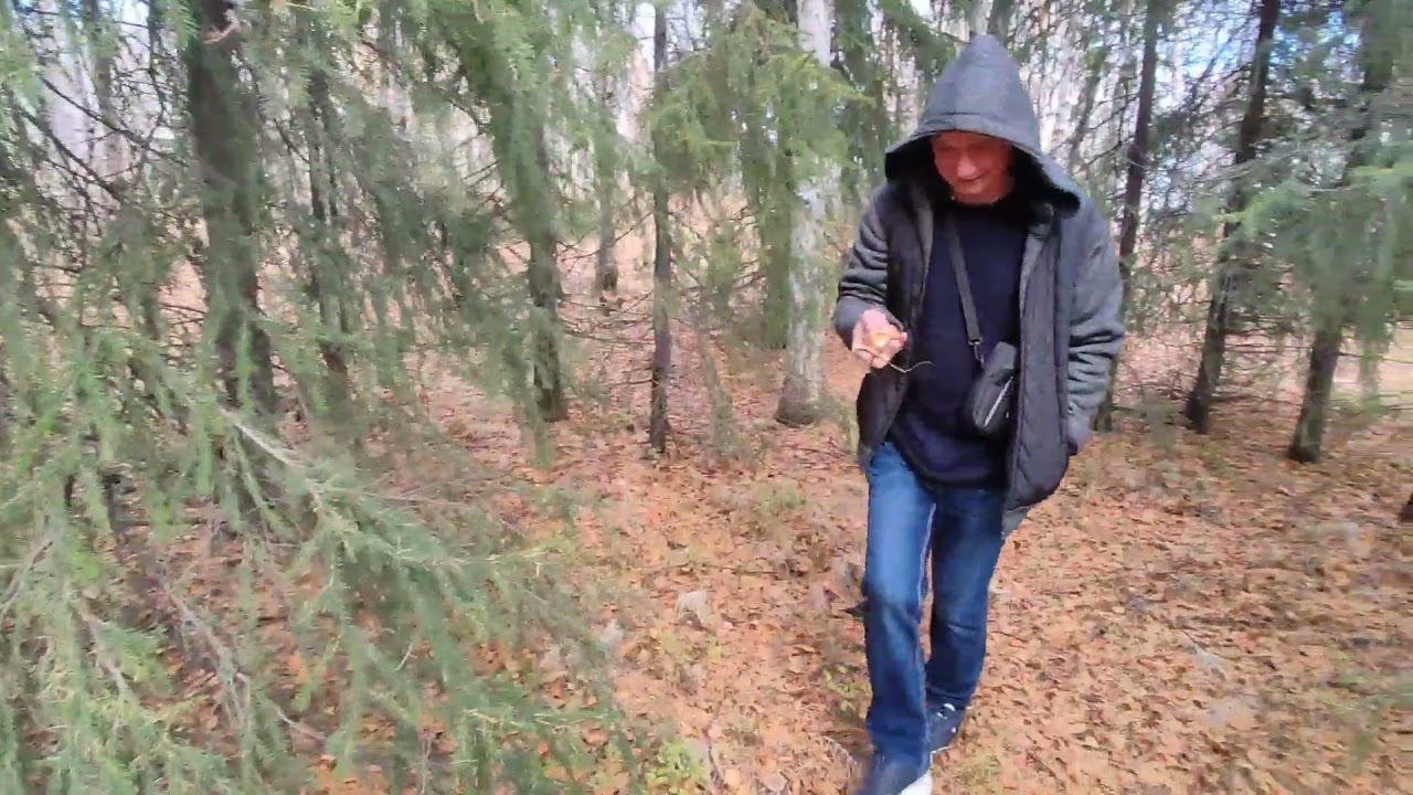 Магазин Маяк Лабытнанги Магазин Маяк Лабытнанги
