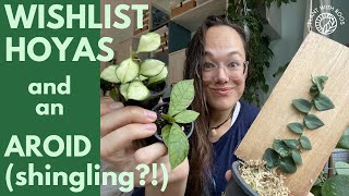 Wishlist hoya and shingling aroid unboxing + an update | Plant with Roos
