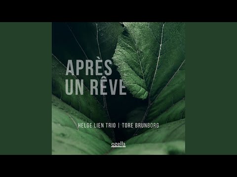 Helge Lien Trio & Tore Brunborg - Après Un Rêve