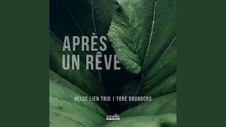 Après Un Rêve - Helge Lien Trio & Tore Brunborg
