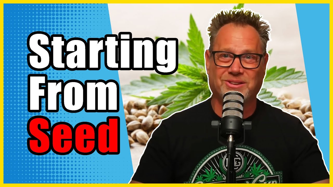 Don't Grow Cannabis from Seed Until You Know About THIS