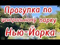 ПРОДОЛЖЕНИЕ//ПРОГУЛКА ПО ЦЕНТРАЛЬНОМУ ПАРКУ//НЬЮ-ЙОРК