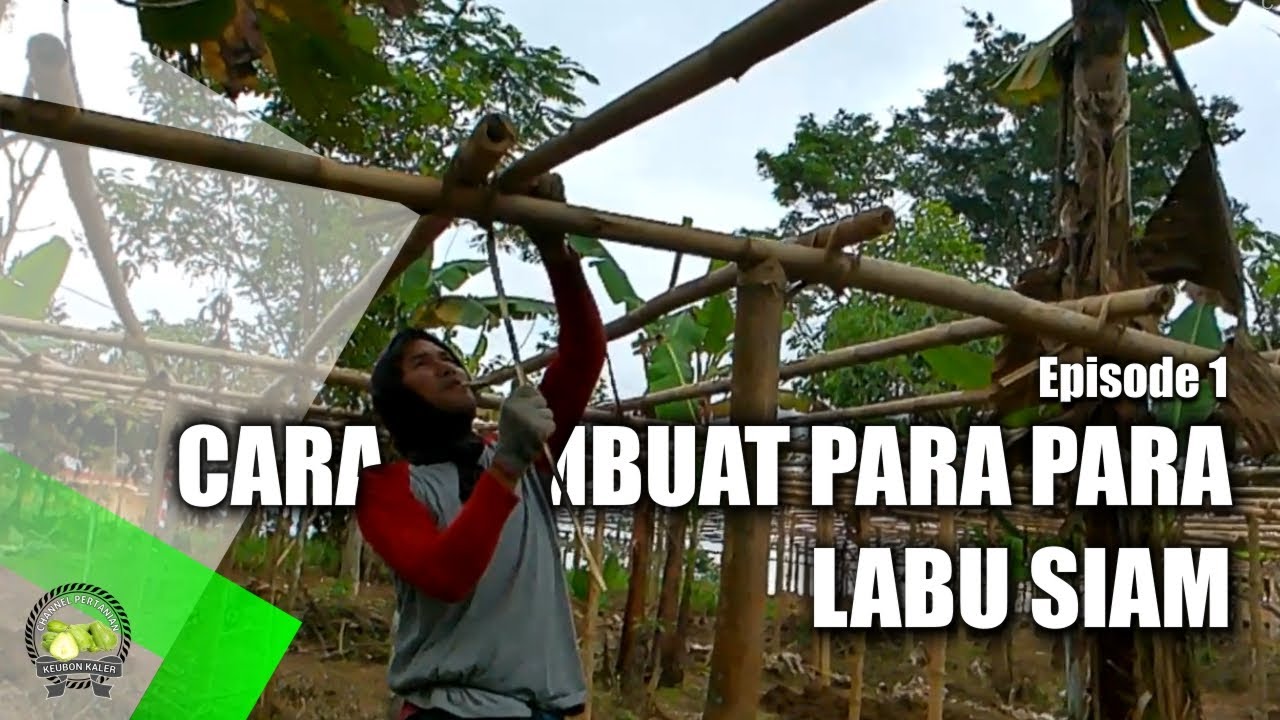 cara membuat para para/paratag/ajir waluh/ labu siam 
