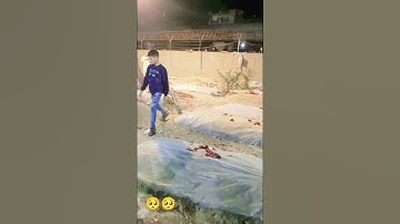 Mpl cash clube #mpl #vairalshort #muslim #shots #trendingshorts #millionviews