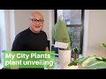 My city plants plant unveiling