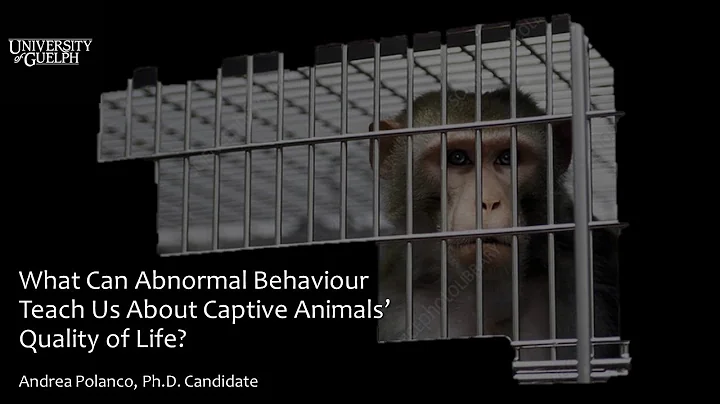 [Andrea Polanco] What can abnormal behaviour teach...