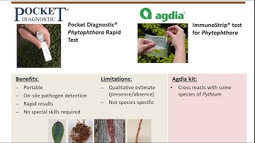 Phytophthora test kits