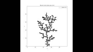 Creating diffusion limited aggregation using random walkers
