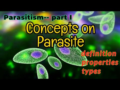Concepts on Parasite​ | Types of Parasites with Examples |  Parasitism | AM Biologie Notes