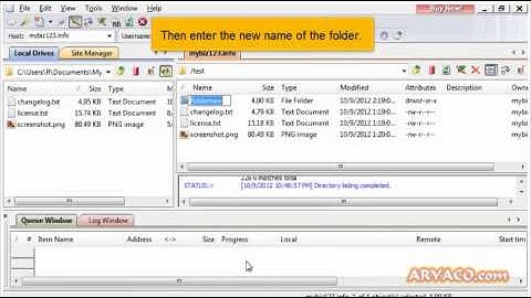Managing files in CuteFTP