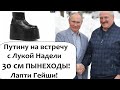 ПУTИHУ УВЕЛИЧИЛИ РОСТ ДЛЯ ВСТРЕЧИ С ЛУКАШЕНКО! ПЫНЕХОДЫ 30 САНТИМЕТРОВ!