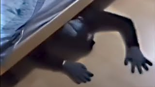 Grenade Under the Bed (Meme) [10 HOURS]