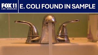 E. coli found in Koreatown water sample
