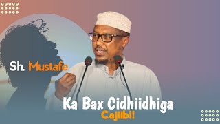 Sidee Cidhiidhiga Looga Baxaa ⁴ᴷ┇Shiikh mustafe┇Muxaadaro cajiib ah