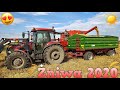 Żniwa Pszenicy 2020 u Krzycha! 🌾 Ależ sypneło!🌾 ☆ Bizon Z056 & Case JX90 ☆ MafiaSolecTeam