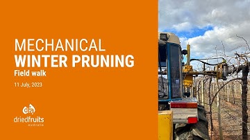 Mechanical winter pruning field walk