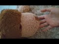 Lá no mato (ep 1) "sobreviventes iniciantes"