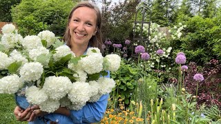 Interplanting Dahlias & Basil, Supporting Peonies, Cut Viburnum Tips, Dahlias in Flower Borders