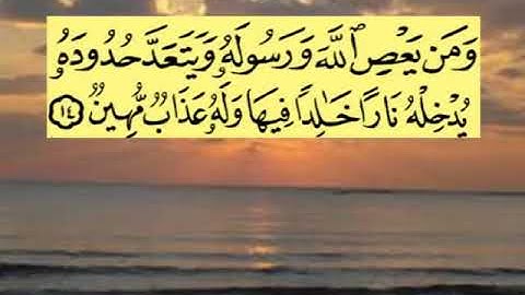 سورة النساء اية ١٤ جمال القرش