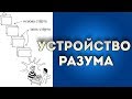 Как работает дианетика