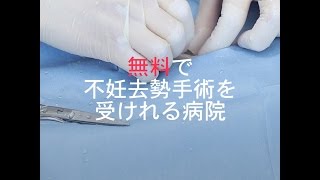 世界初　全ての犬猫の不妊去勢手術&quot;無料&quot;病院が開設 / Free neuter program for all cats and dogs,provided in Japan