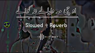 Wo Che Ma Wayala Ta Kawale (Slowed+Reverb) Pashto Song | Sad Song | Lofi Song | New Song 2022