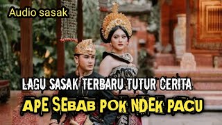 SASAK TERBARU 2025 APE SEBAB POK NDEK PACU | LAGU TERBARU TUTUR CERITA 