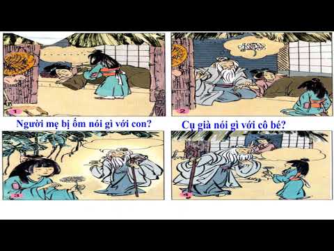 Kể chuyện lớp 1 - tuần 28 hoa cúc trắng
