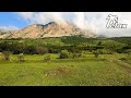 Sounds of Nature in the Mountains - Wind Noise and Birdsong