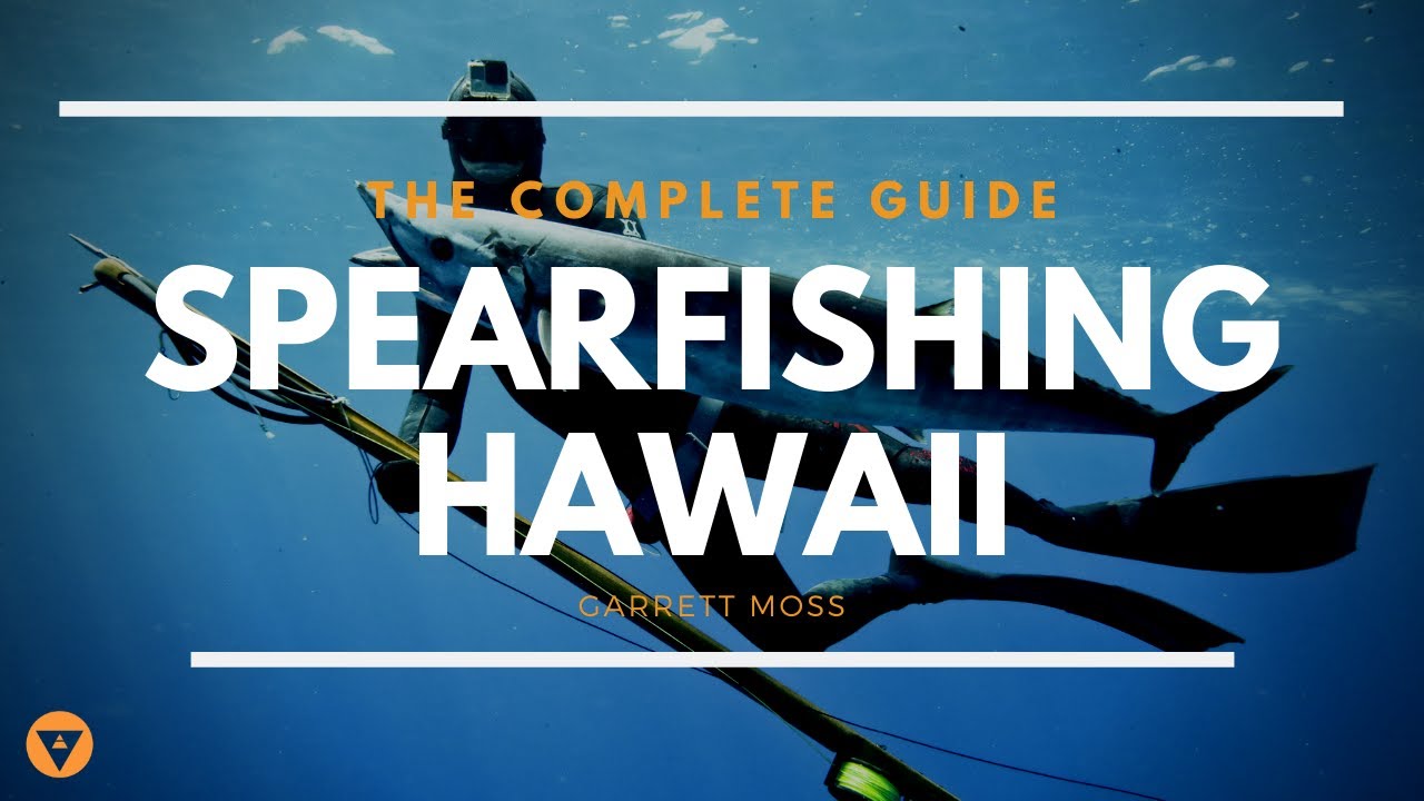 All You Need To Know About Spearfishing In Hawaii