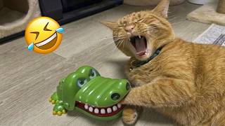 You Laugh You Lose 😹🐶 Funniest Cats and Dogs 2026 🤣 Part 1