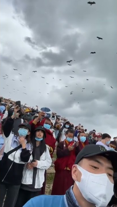 mayat manusia di makan burung di tibet