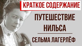 Путешествие Нильса. Краткое содержание