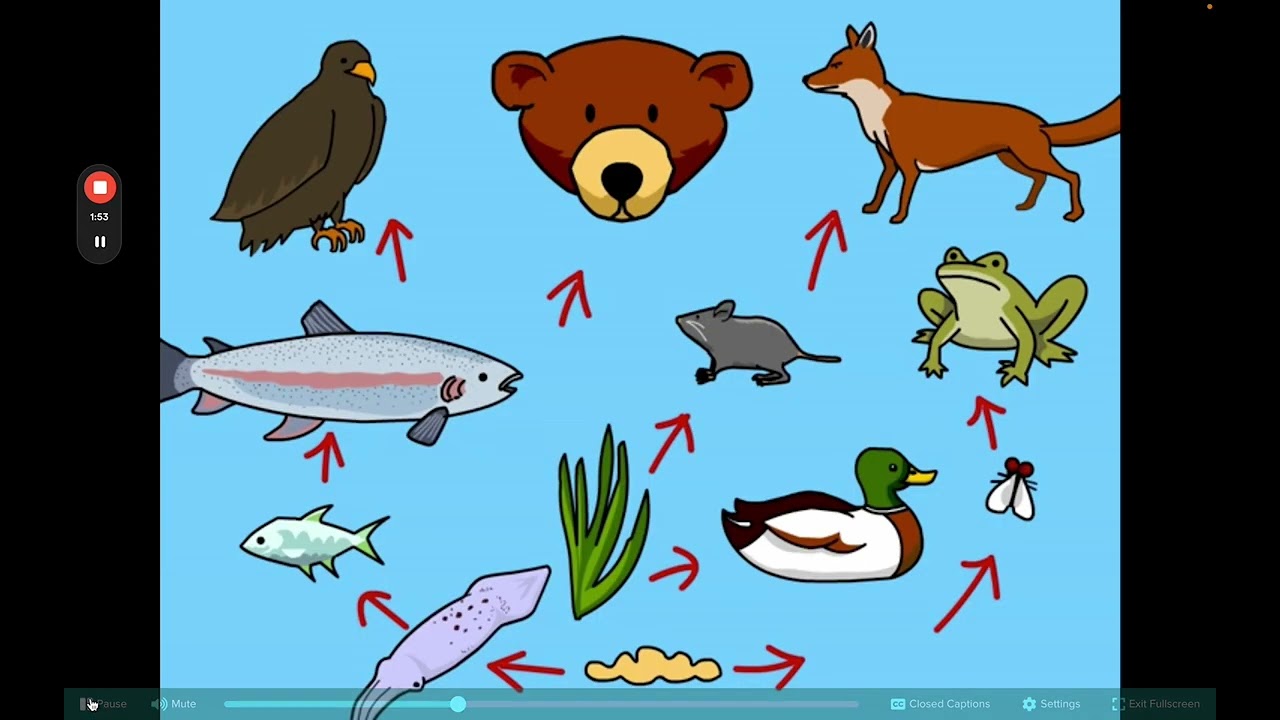 Energy Pyramid BrainPOP 10 February 2024 YouTube Energy Pyramid BrainPOP 10 February 2024 YouTube