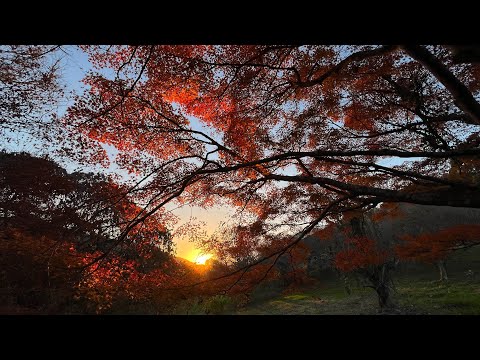 2023/12/09 　橘始黄・閉塞成冬　癒しのひじかわじかん　〜愛媛県大洲市〜