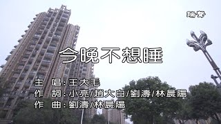 王大毛~今晚不想睡【KTV純享練唱版】