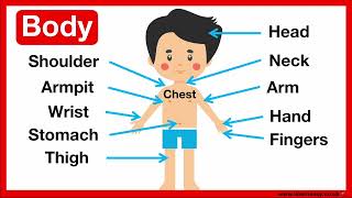Parts of the body 🤔 | Easy Learning Video | Learn with pictures by Learn Easy Science 4,153 views 10 months ago 2 minutes, 40 seconds