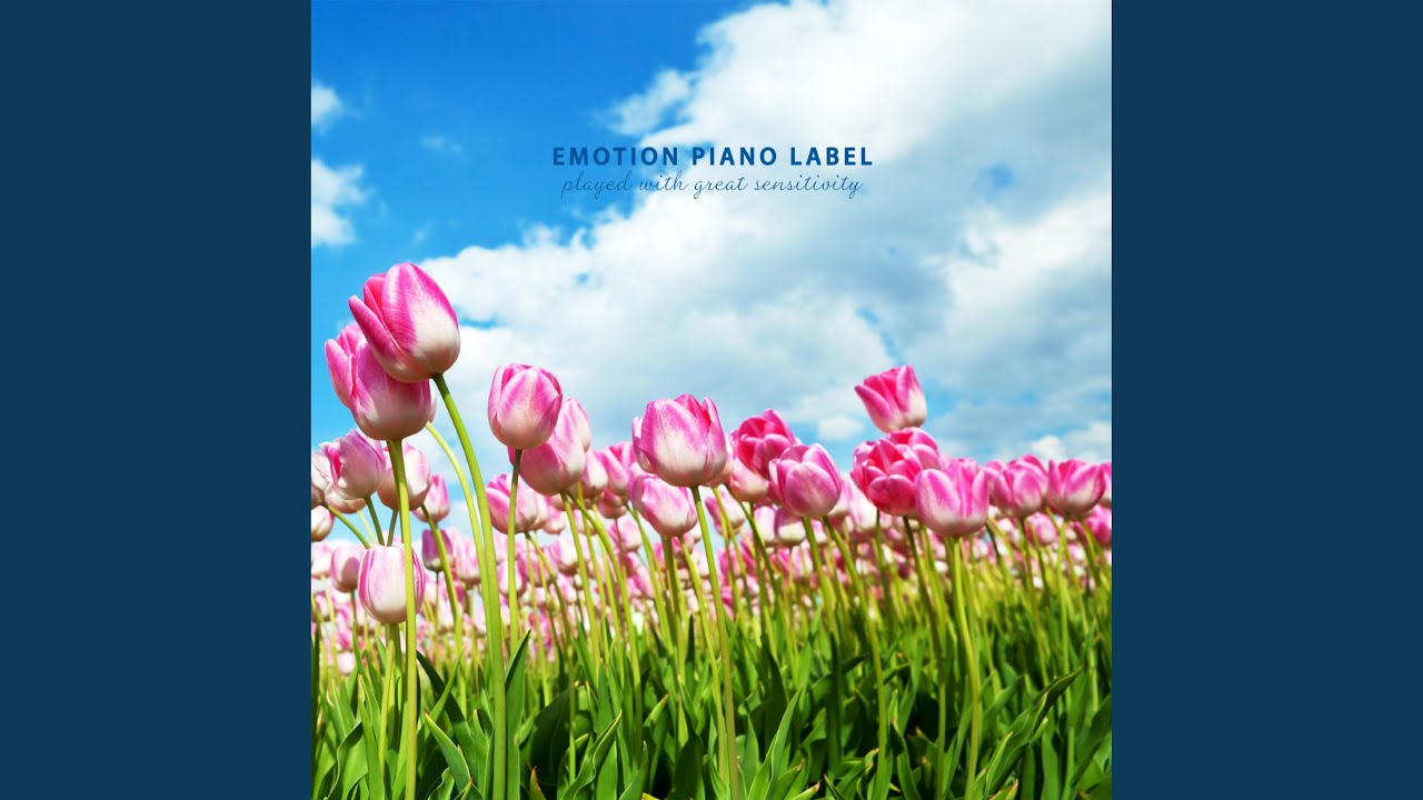 Flowers Blooming in the Morning YouTube